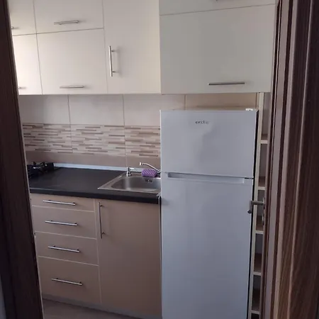 Apartment Delightful Grigorescu