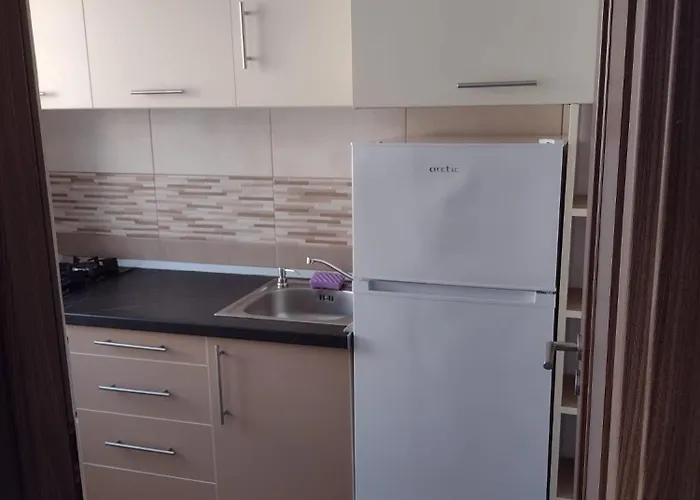 Apartament Delightful Grigorescu